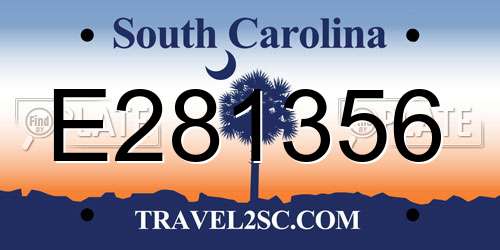E281356 South Carolina License Plate