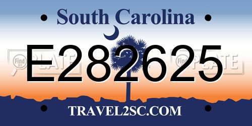 E282625 South Carolina License Plate