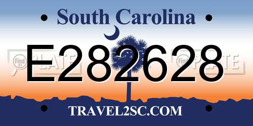 E282628 South Carolina License Plate