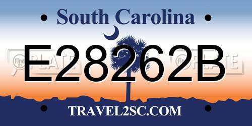 E28262B South Carolina License Plate