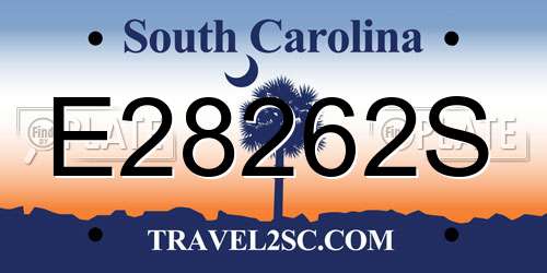 E28262S South Carolina License Plate