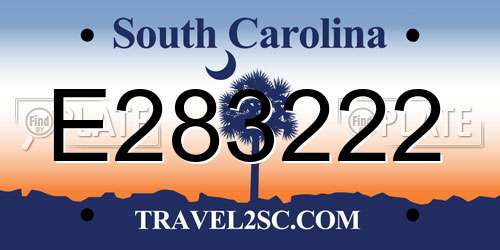 E283222 South Carolina License Plate