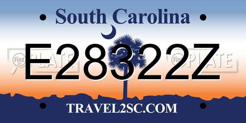 E28322Z South Carolina License Plate