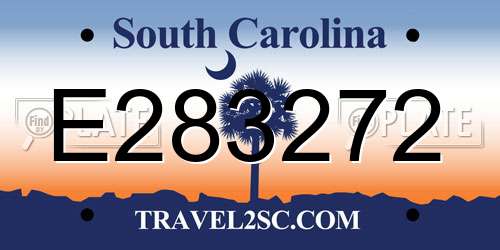 E283272 South Carolina License Plate