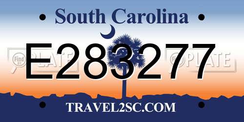 E283277 South Carolina License Plate