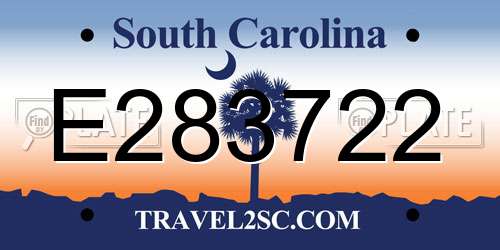 E283722 South Carolina License Plate