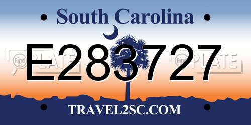 E283727 South Carolina License Plate