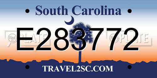 E283772 South Carolina License Plate