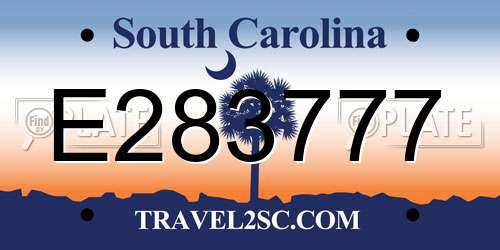 E283777 South Carolina License Plate