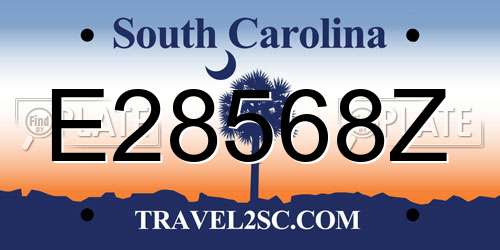 E28568Z South Carolina License Plate