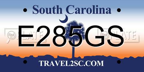 E285GS South Carolina License Plate