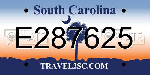 E287625 South Carolina License Plate