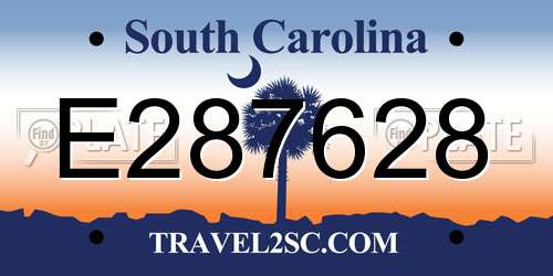 E287628 South Carolina License Plate