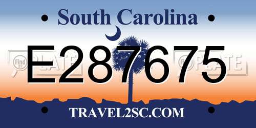 E287675 South Carolina License Plate
