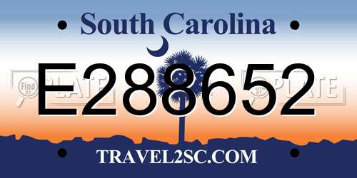 E288652 South Carolina License Plate