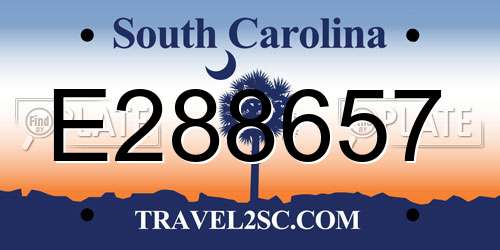 E288657 South Carolina License Plate
