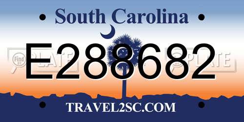 E288682 South Carolina License Plate