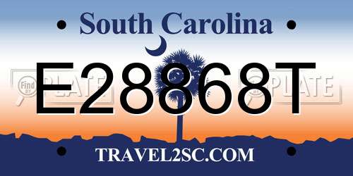 E28868T South Carolina License Plate