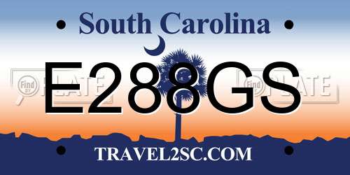 E288GS South Carolina License Plate