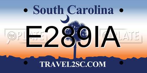 E289IA South Carolina License Plate