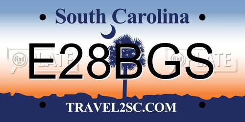 E28BGS South Carolina License Plate