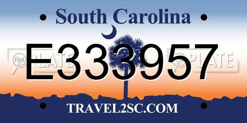 E333957 South Carolina License Plate
