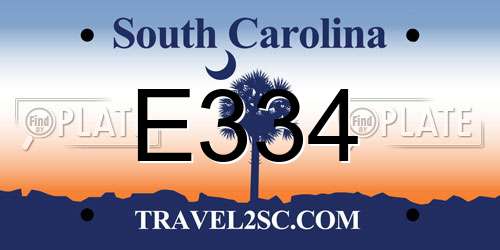 E334 South Carolina License Plate