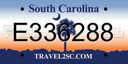 E336288 South Carolina License Plate