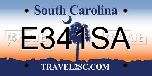 E341SA South Carolina License Plate