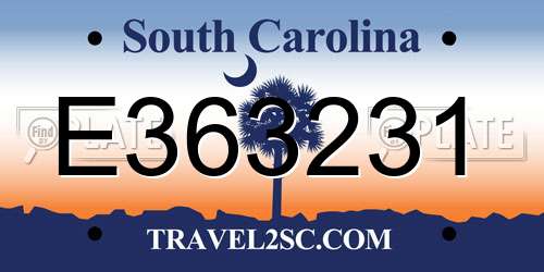 E363231 South Carolina License Plate
