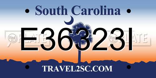 E36323I South Carolina License Plate
