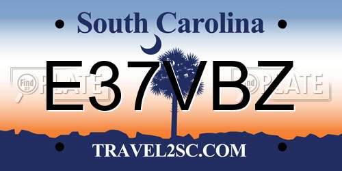 E37VBZ South Carolina License Plate