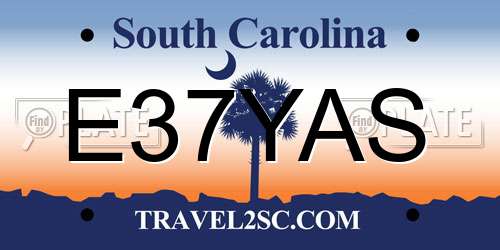 E37YAS South Carolina License Plate