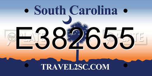E382655 South Carolina License Plate