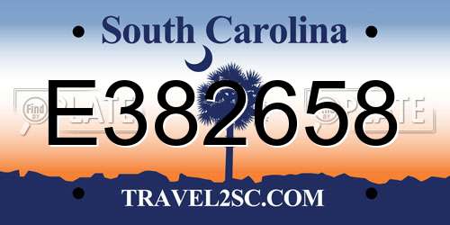 E382658 South Carolina License Plate