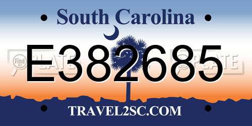 E382685 South Carolina License Plate