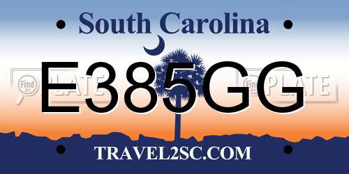 E385GG South Carolina License Plate