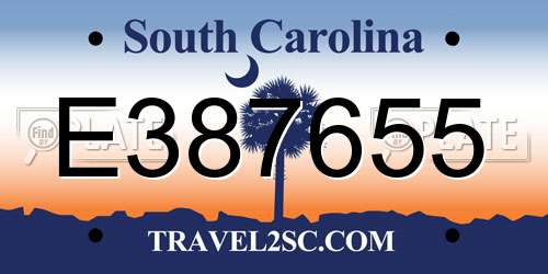 E387655 South Carolina License Plate