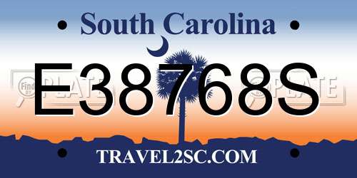 E38768S South Carolina License Plate