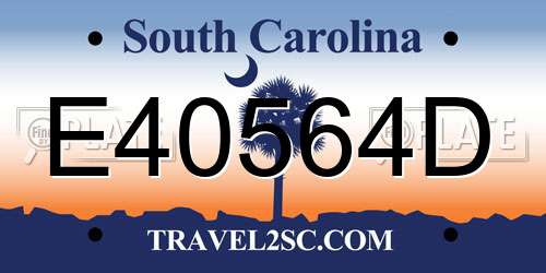E40564D South Carolina License Plate