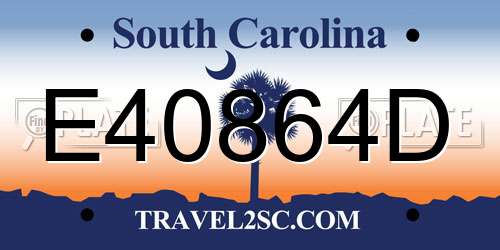 E40864D South Carolina License Plate