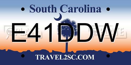 E41DDW South Carolina License Plate