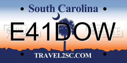 E41DOW South Carolina License Plate