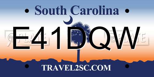 E41DQW South Carolina License Plate