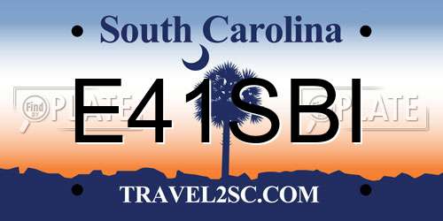E41SBI South Carolina License Plate