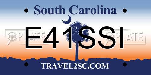 E41SSI South Carolina License Plate