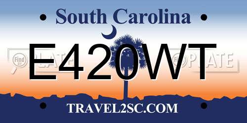 E420WT South Carolina License Plate