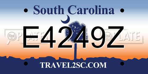 E4249Z South Carolina License Plate