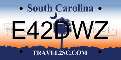 E42DWZ South Carolina License Plate