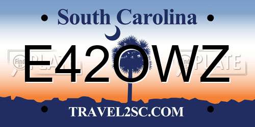 E42OWZ South Carolina License Plate